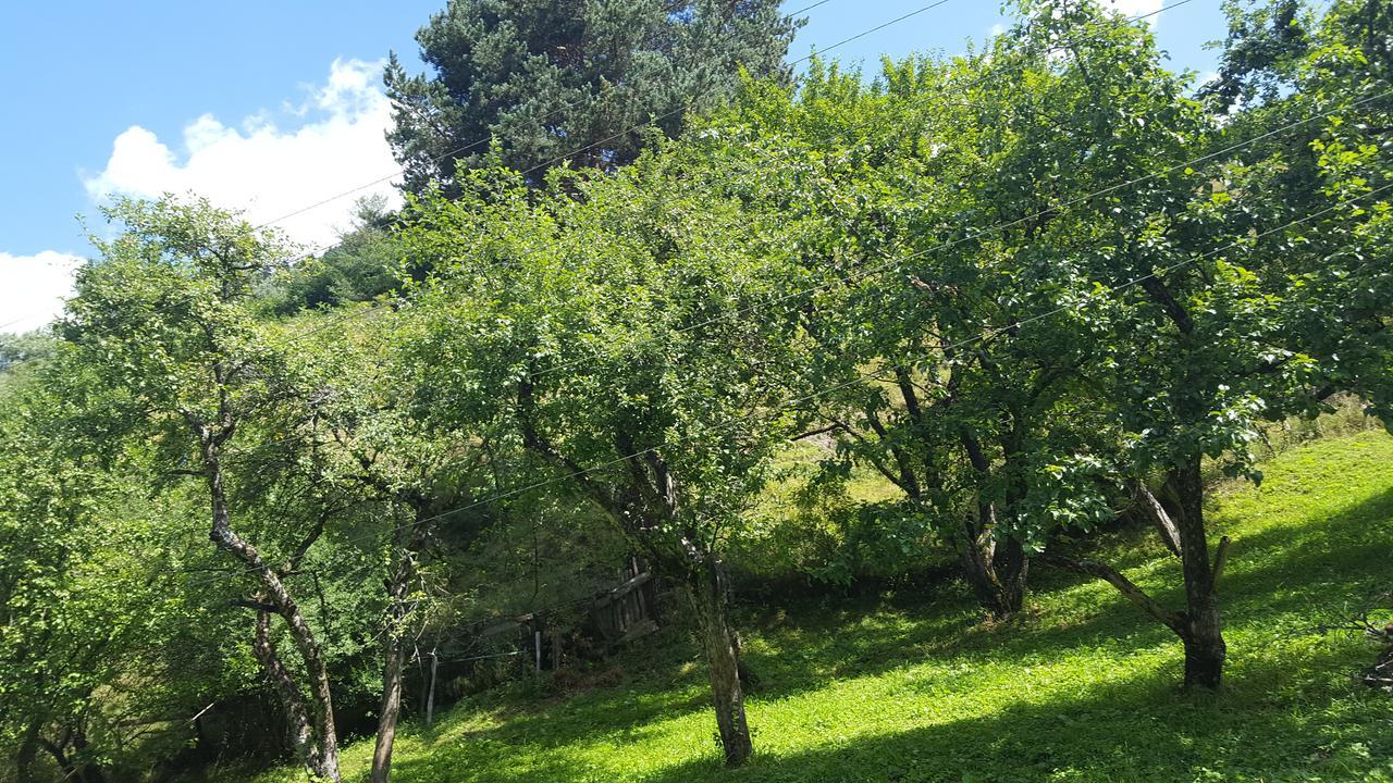 Raul Lushnu Darbaz Bed and Breakfast Μέστια Εξωτερικό φωτογραφία